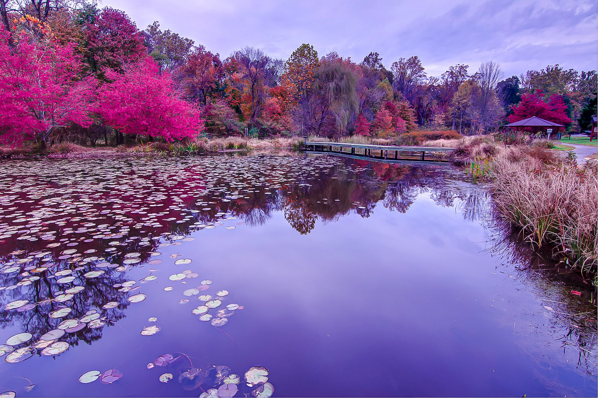 Ellanor C Lawrence Park